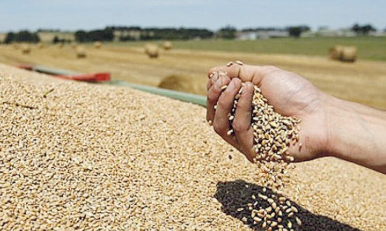 Produits alimentaires : les prix mondiaux repartent à la hausse en janvier