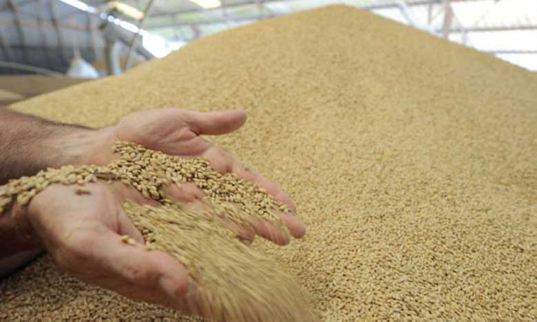 Produits alimentaires : le renchérissement des prix mondiaux n’est pas près de s’estomper