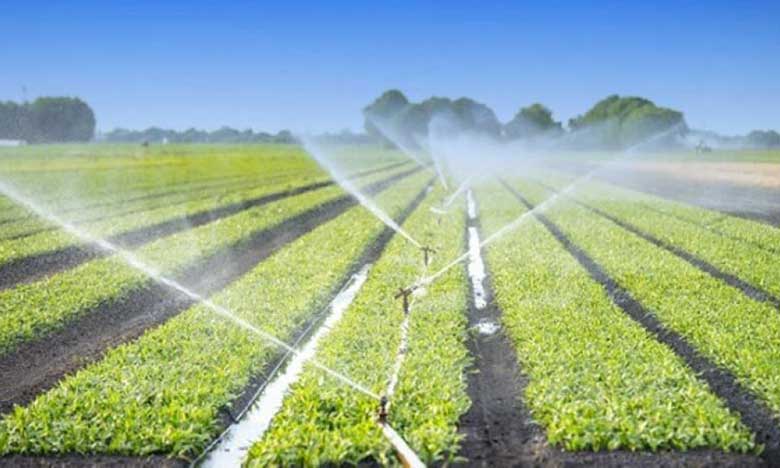 Stratégie Bas Carbone : que sera l’agriculture marocaine en 2050 ?